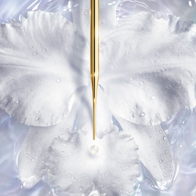 オーキデ アンペリアル ファンデーション|GUERLAIN ゲラン公式
