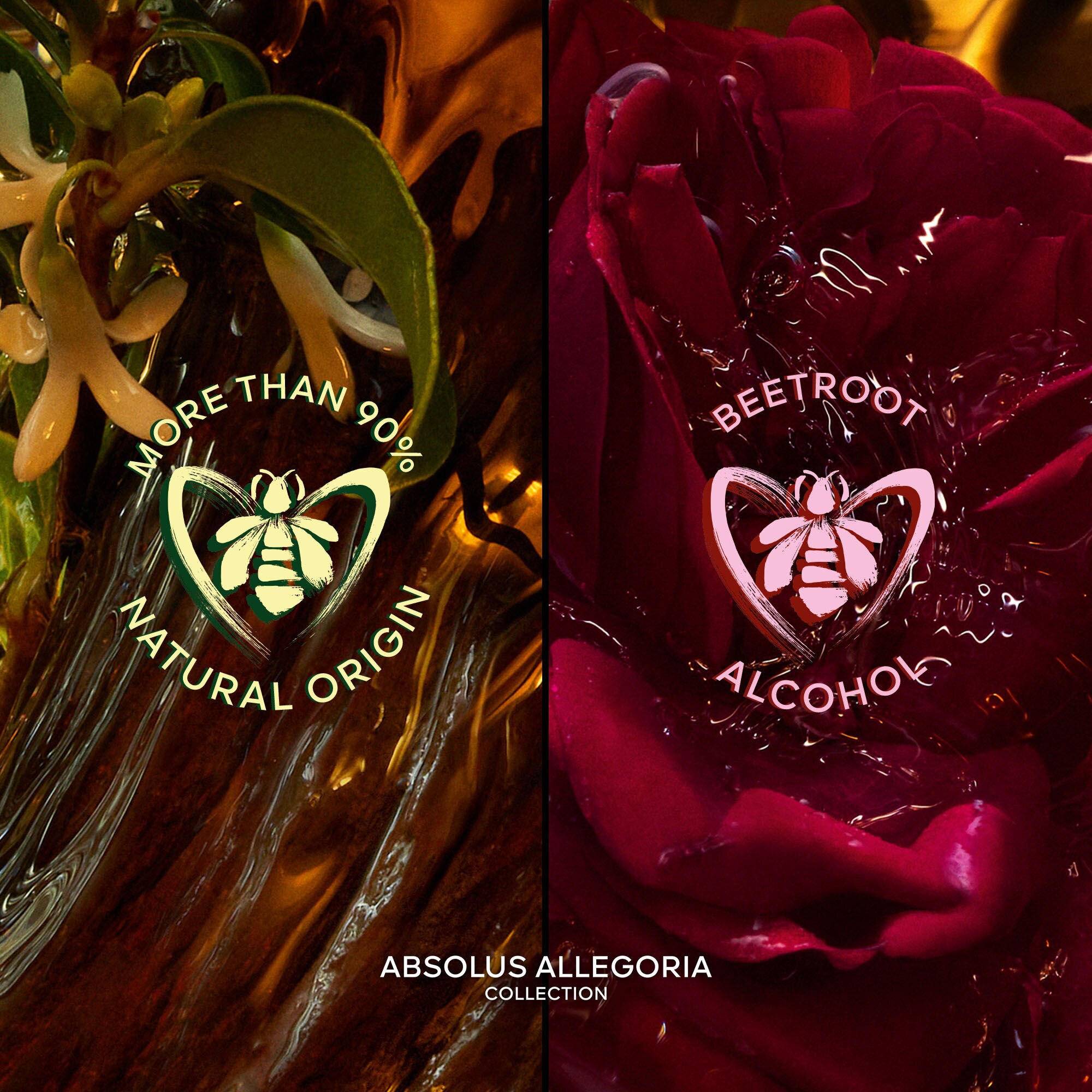 適当な価格 ABSO-ALLEGORIA_SQUARE- 香水(ユニセックス)