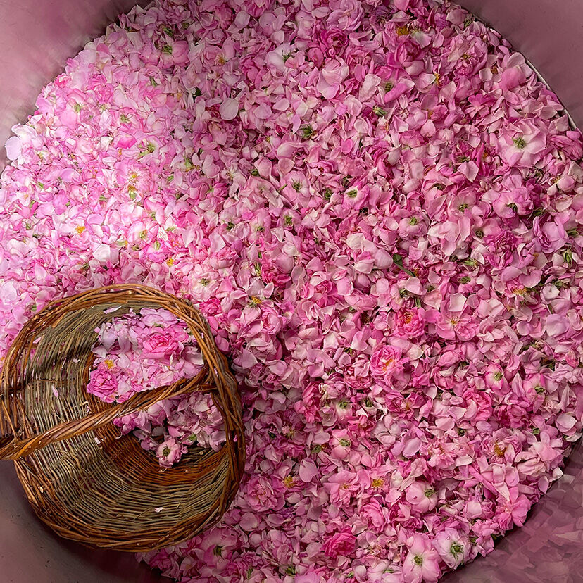 Baskets guerlain sales