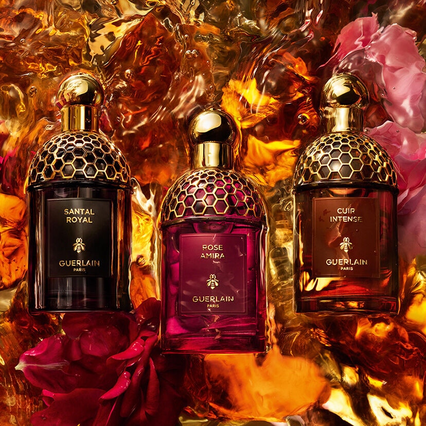 Absolus Allegoria ⋅ Santal Royal - Eau de Parfum ⋅ GUERLAIN