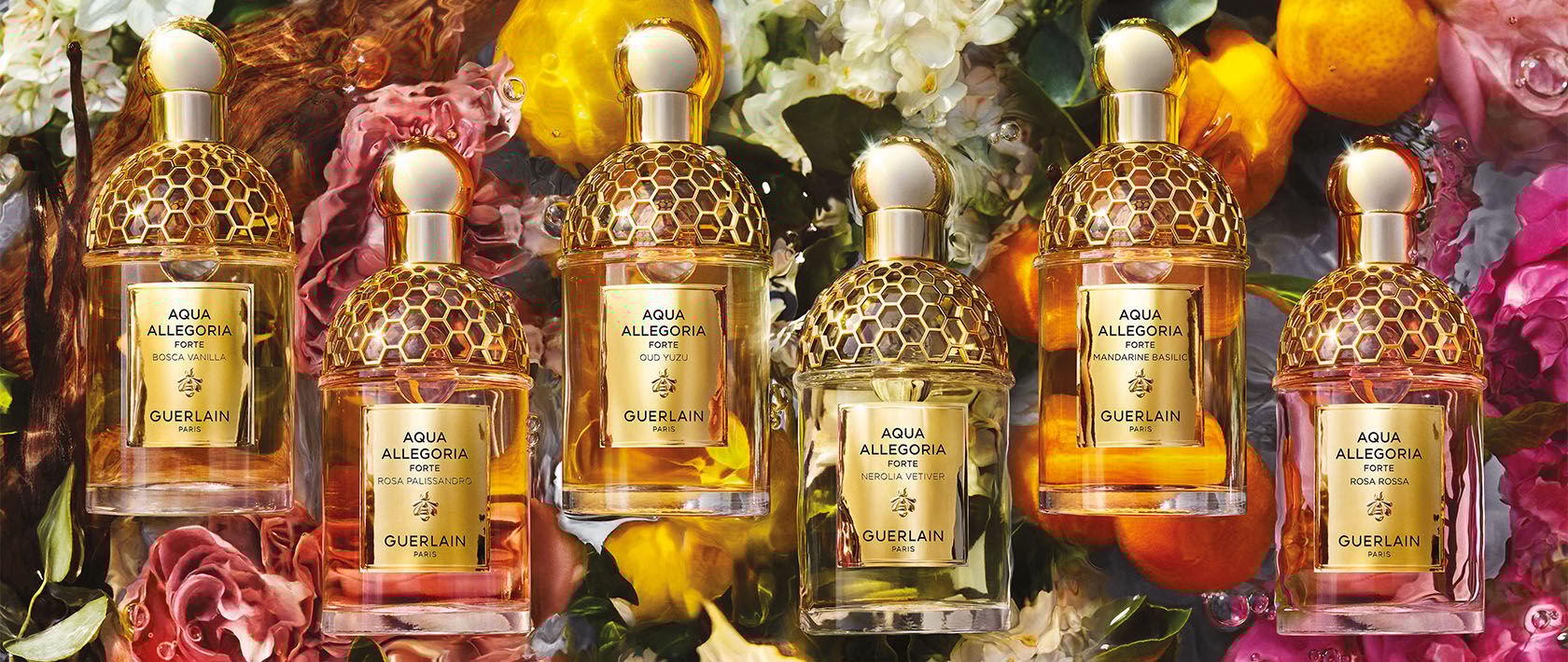 Aqua online allegoria collection