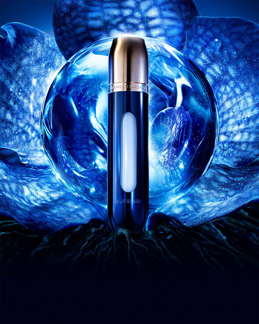 THE LONGEVITY CONCENTRATE