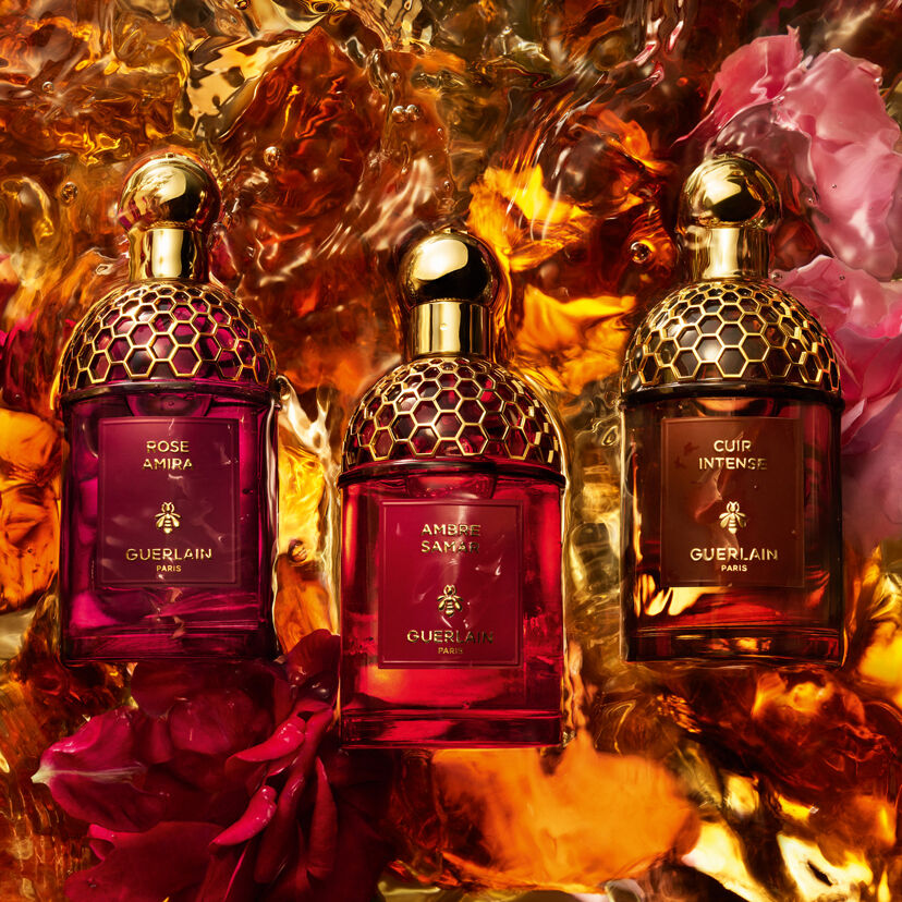 Absolus Allegoria ⋅ Santal Royal - Eau de Parfum ⋅ GUERLAIN