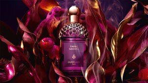 ABSOLUS ALLEGORIA - Tabac Sahara