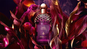 آبسولو أليغوريا - تاباك صحارى