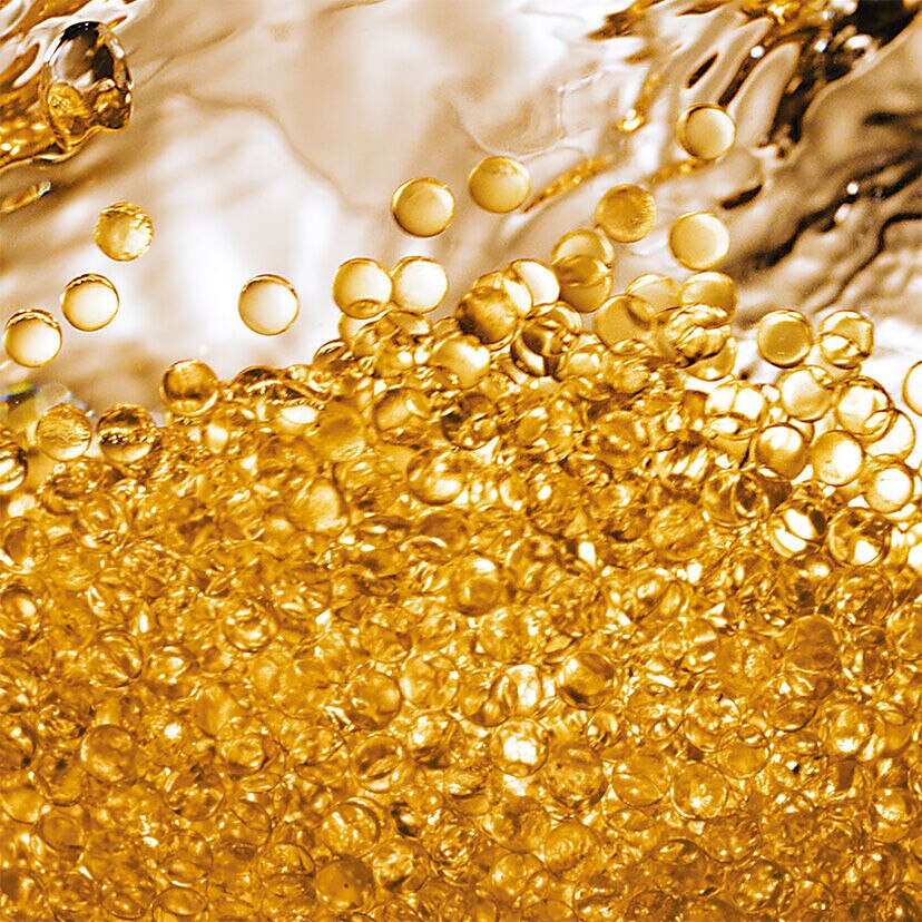 オーキデ アンペリアル ゴールドノビレ ⋅ ザ ゴールデッセンス