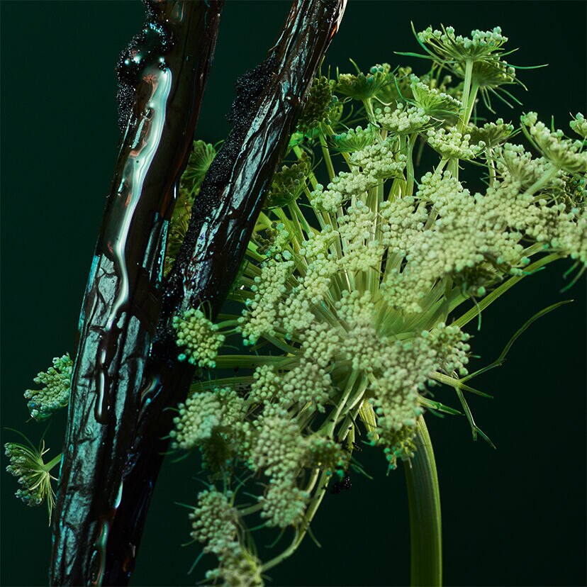 ラール エ ラ マティエール ⋅ アンジェリーク ノワール – オーデ