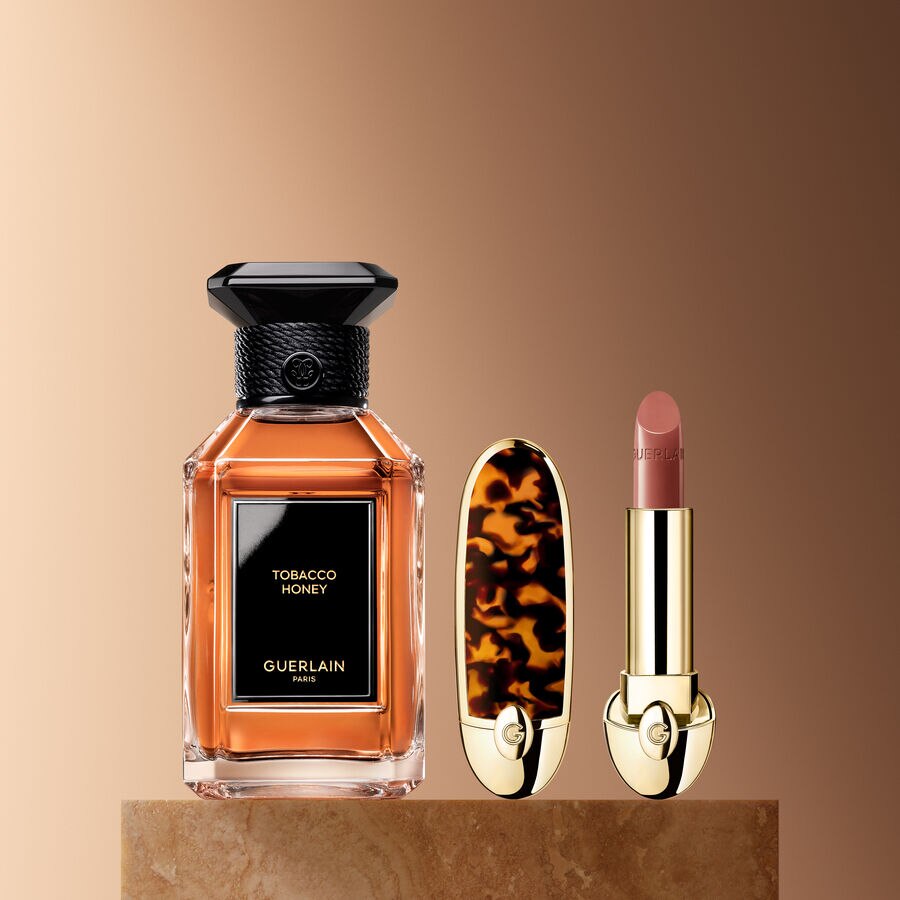 LE DUO MAGN&Eacute;TIQUE (Voir l'image 1/4)