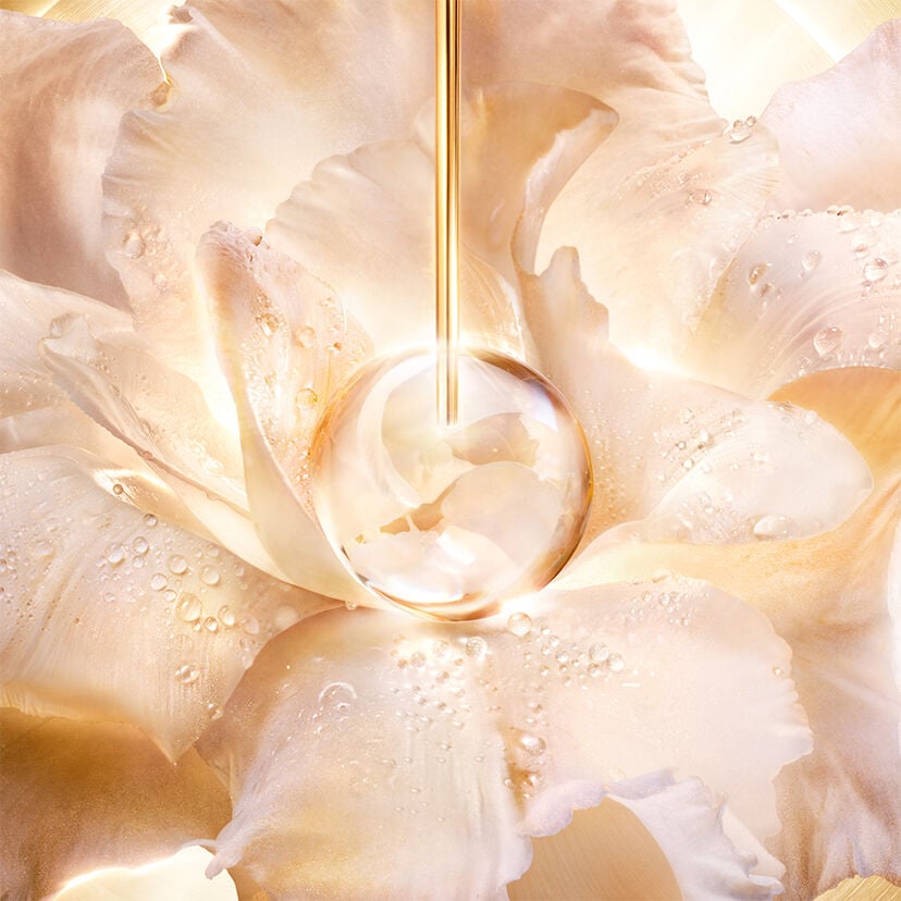 オーキデ アンペリアル ゴールドノビレ ⋅ ザ ゴールデッセンス