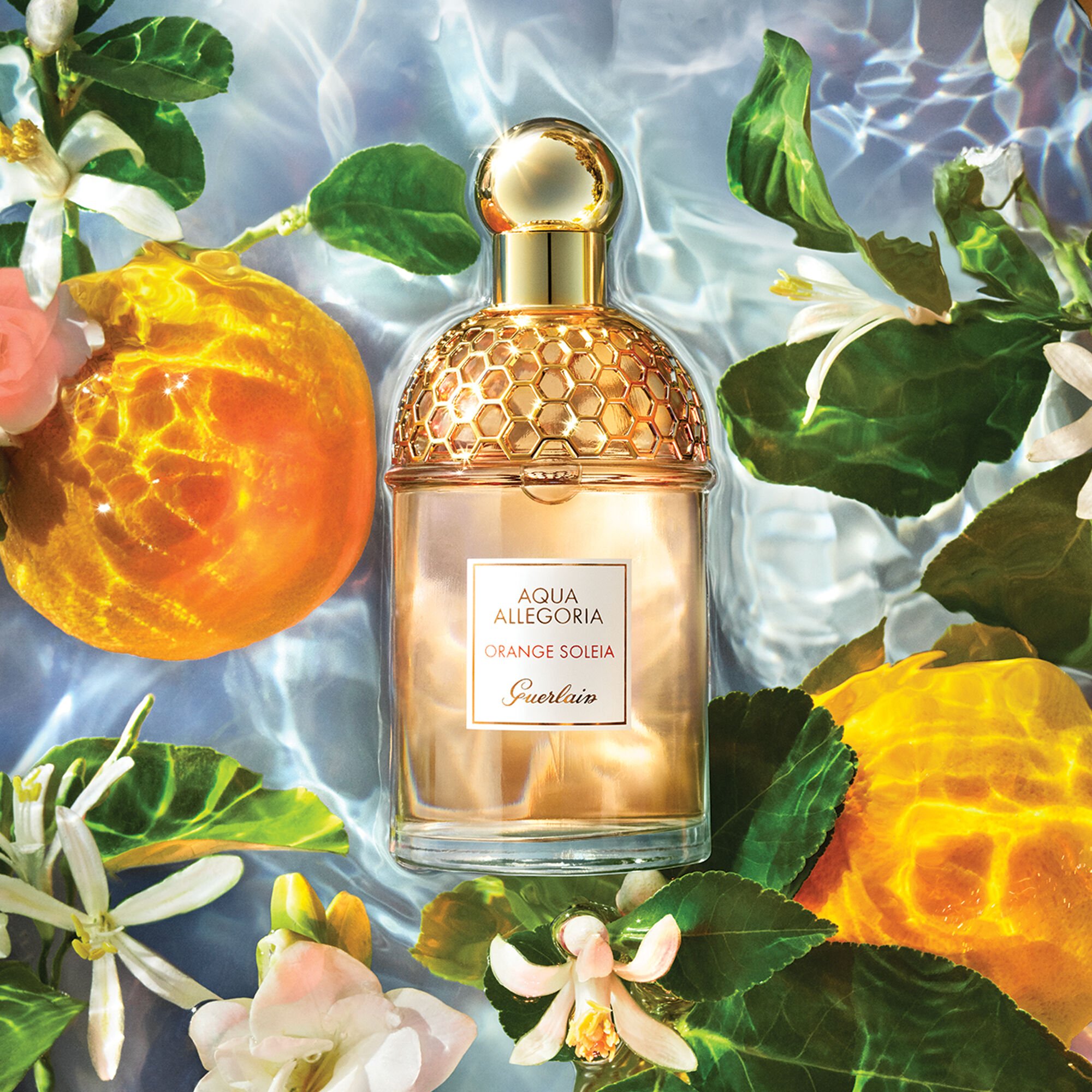 aqua allegoria orange soleia guerlain
