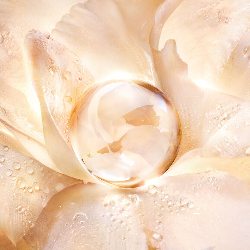 オーキデ アンペリアル ゴールドノビレ ⋅ ザ ゴールデッセンス