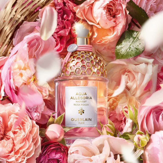 Aqua Allegoria ⋅ Rosa Rossa Harvest - Eau de Toilette ⋅ GUERLAIN