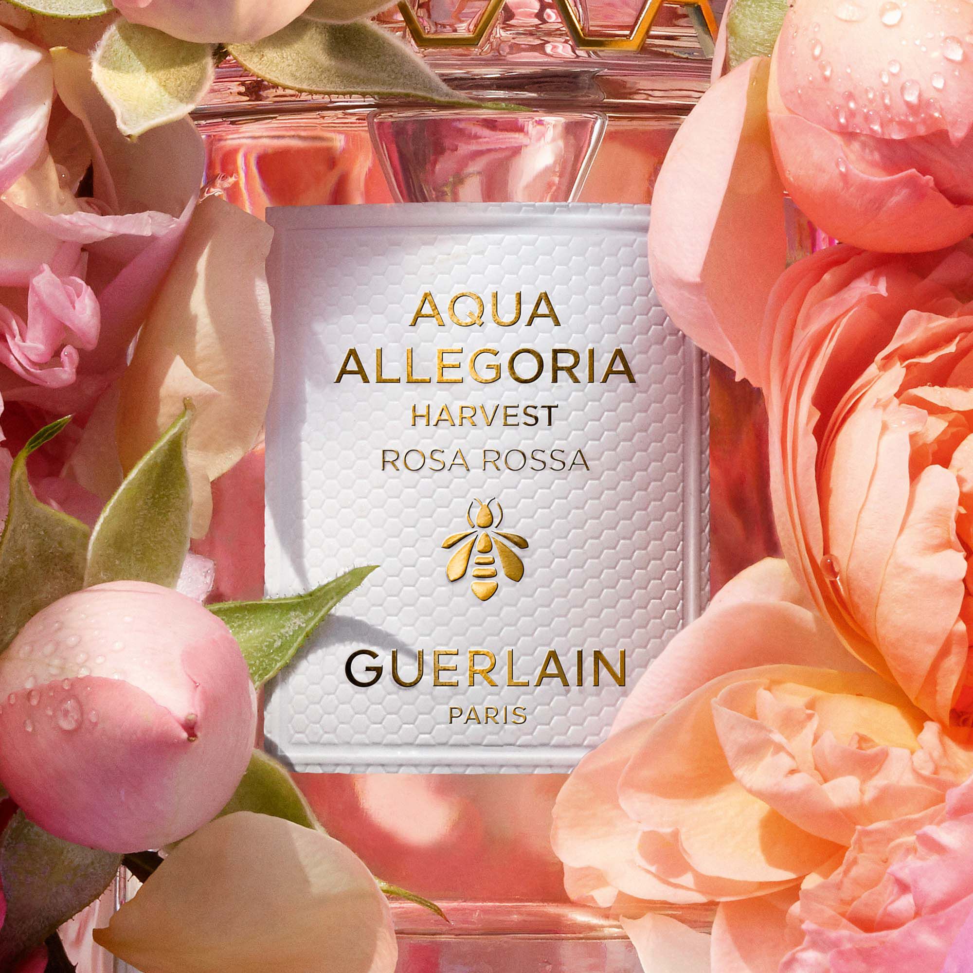 Aqua Allegoria ⋅ Rosa Rossa Harvest - Eau de Toilette ⋅ GUERLAIN