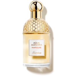 Aqua Allegoria Pamplelune