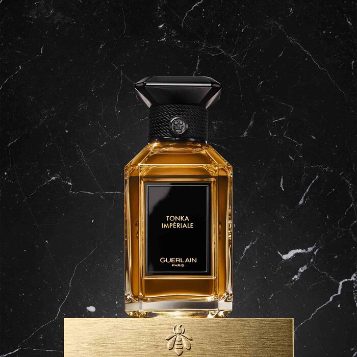 L'ART & LA MATIÈRE