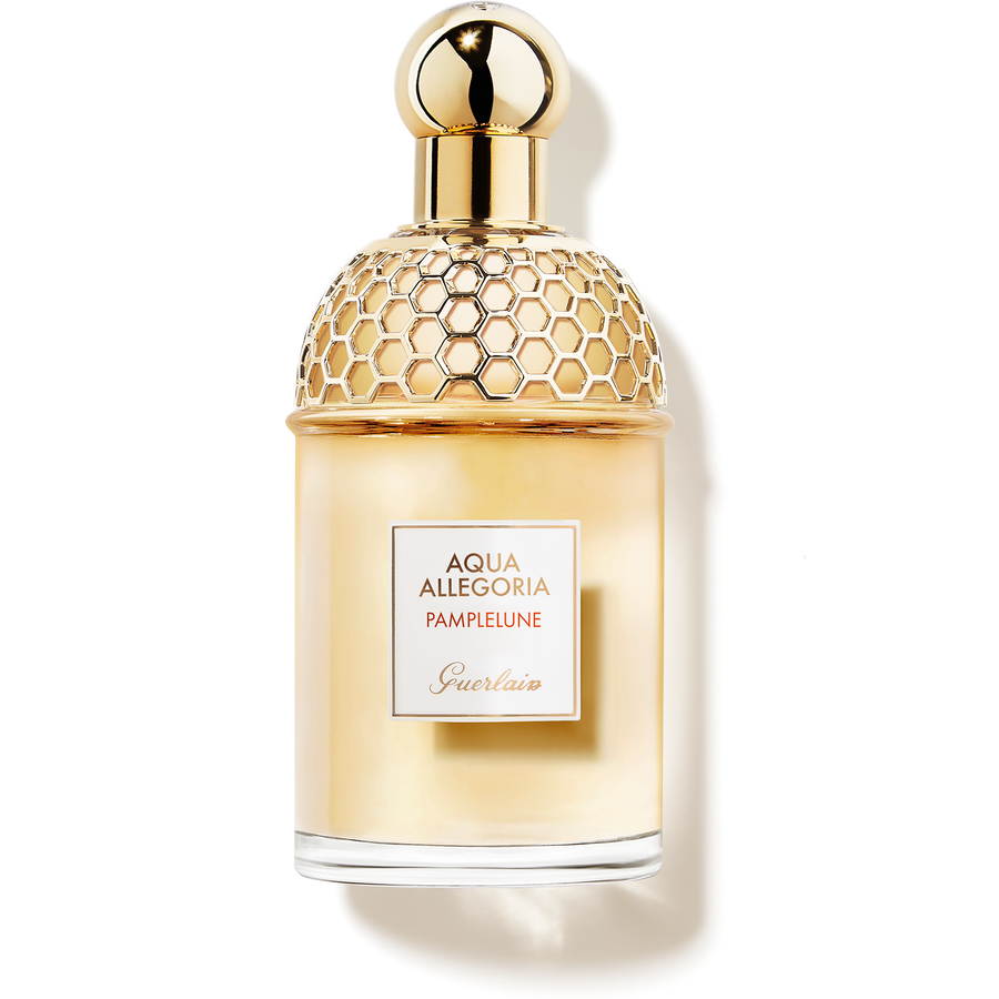 Pamplelune (See the picture 1/2)