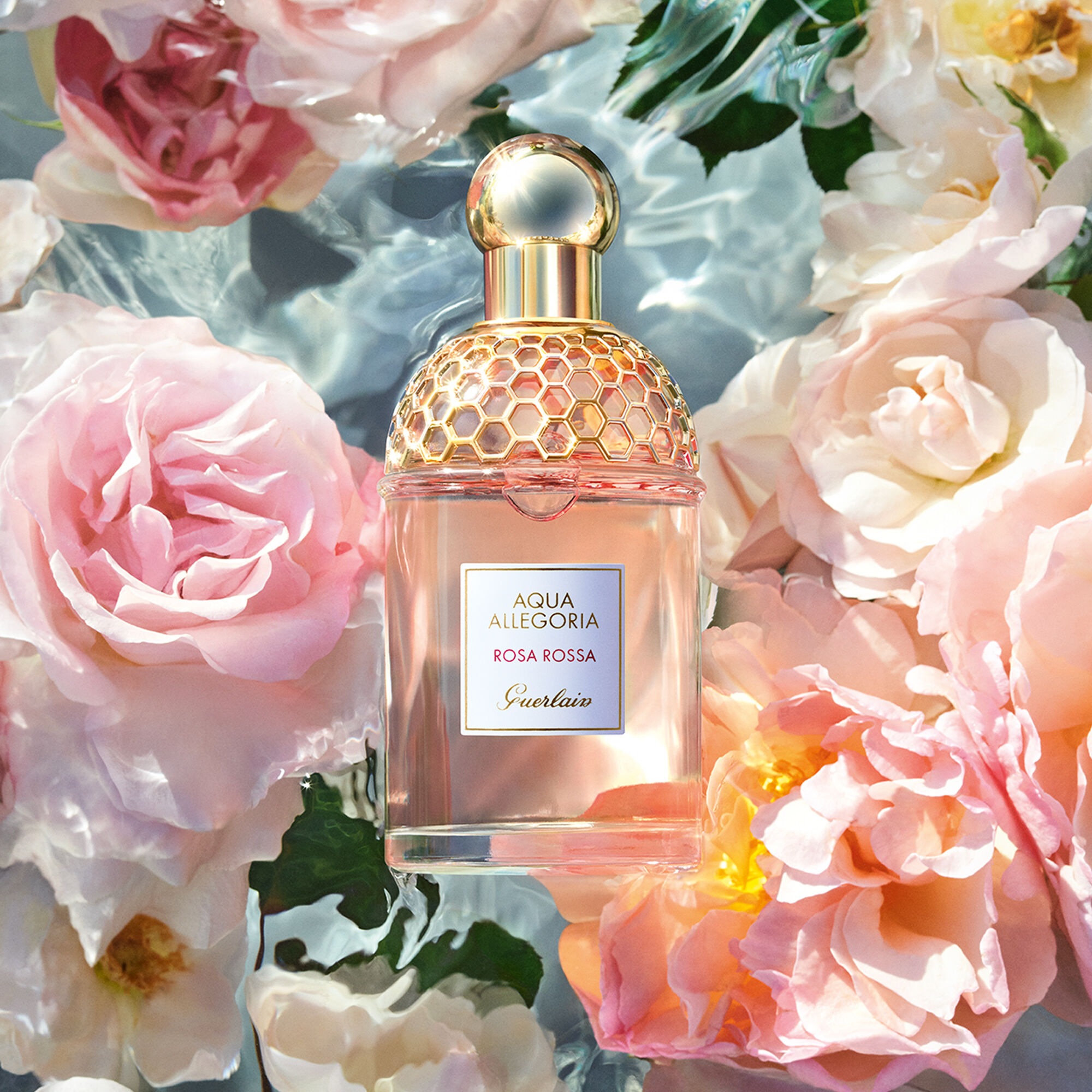 Aqua Allegoria ⋅ Rosa Rossa - Eau de 