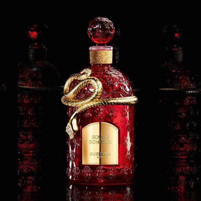 ENCONTRO EXCECIONAL ROUGE BONHEUR