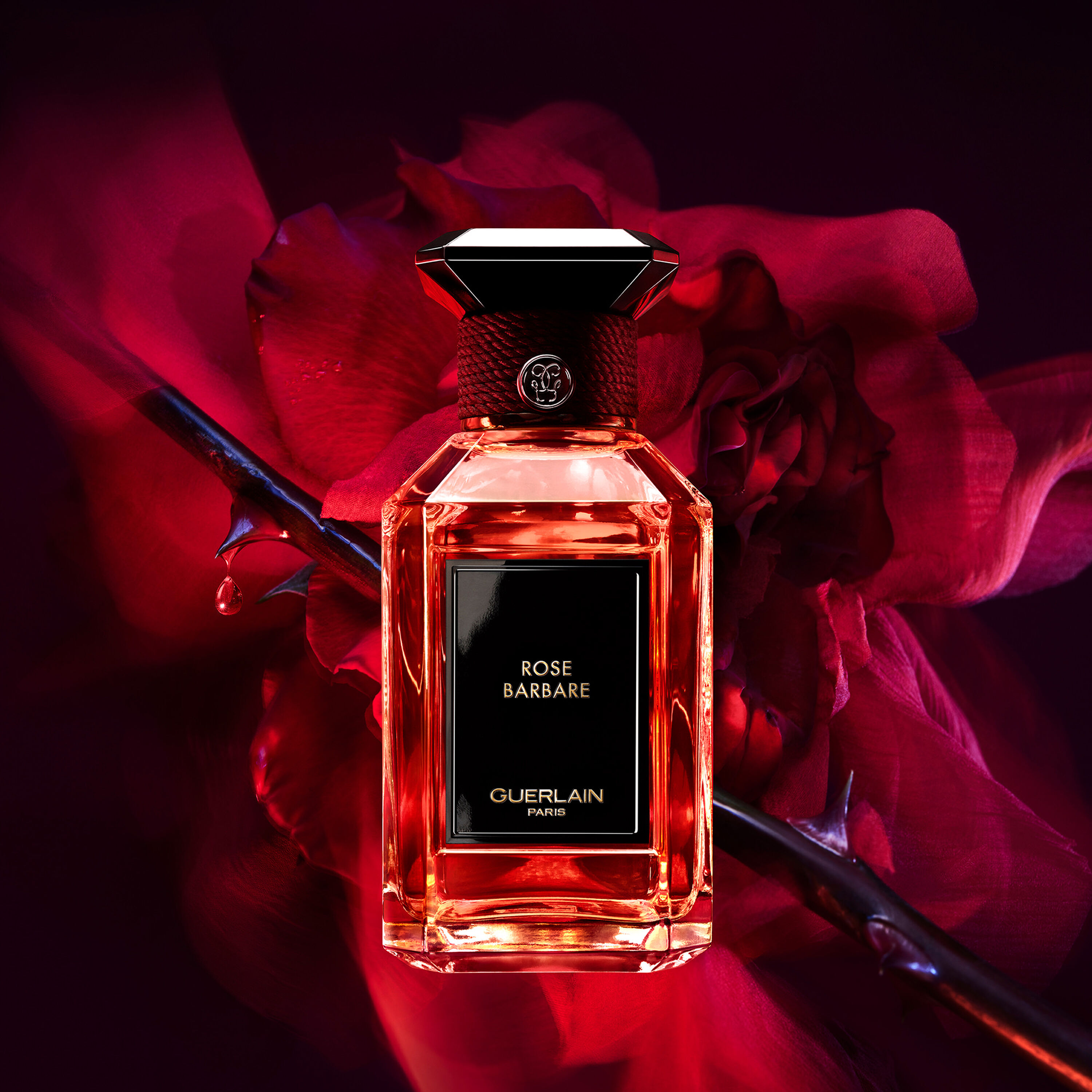 Rose Barbare – Eau de Parfum (Voir l'image 1/6)