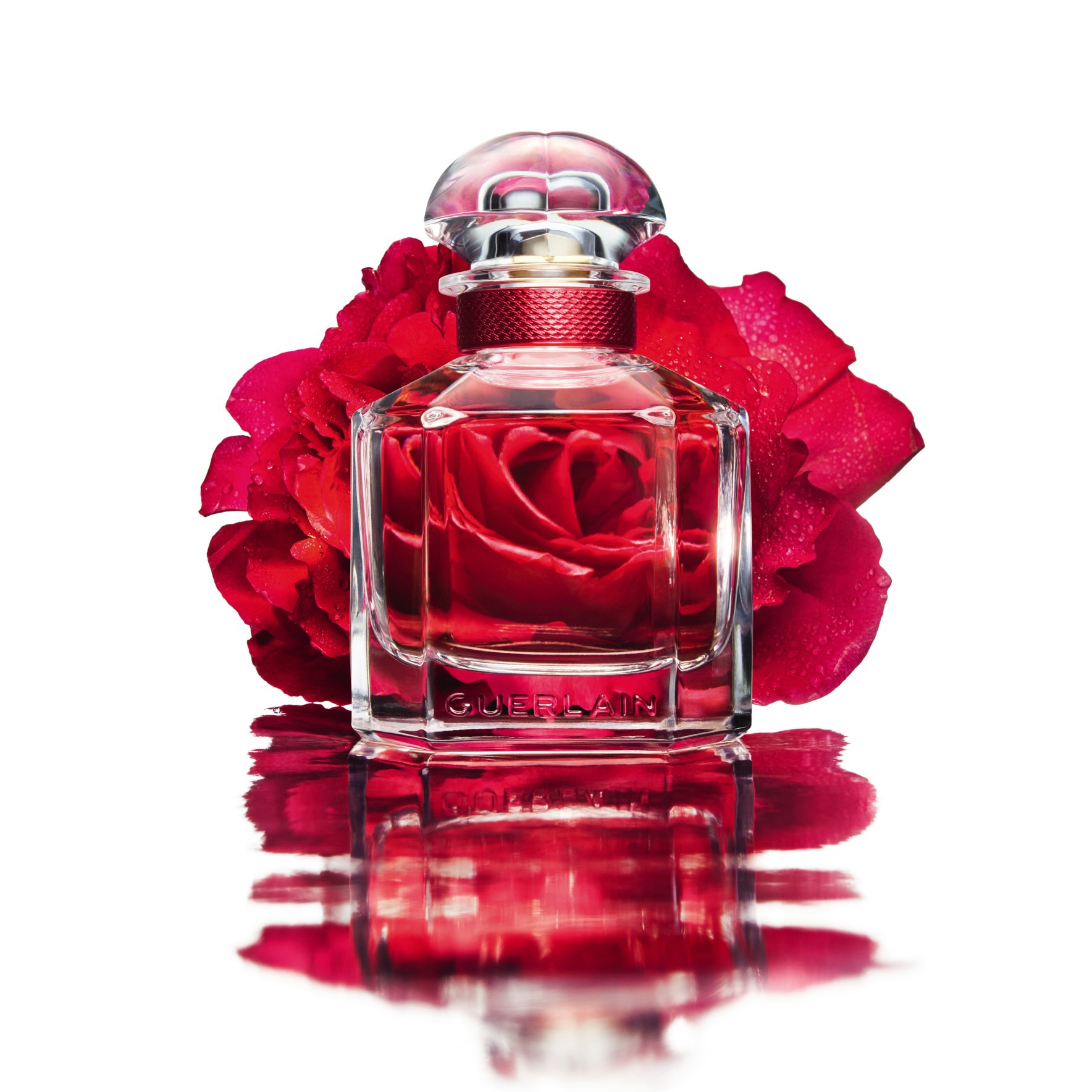 bloom of rose perfume