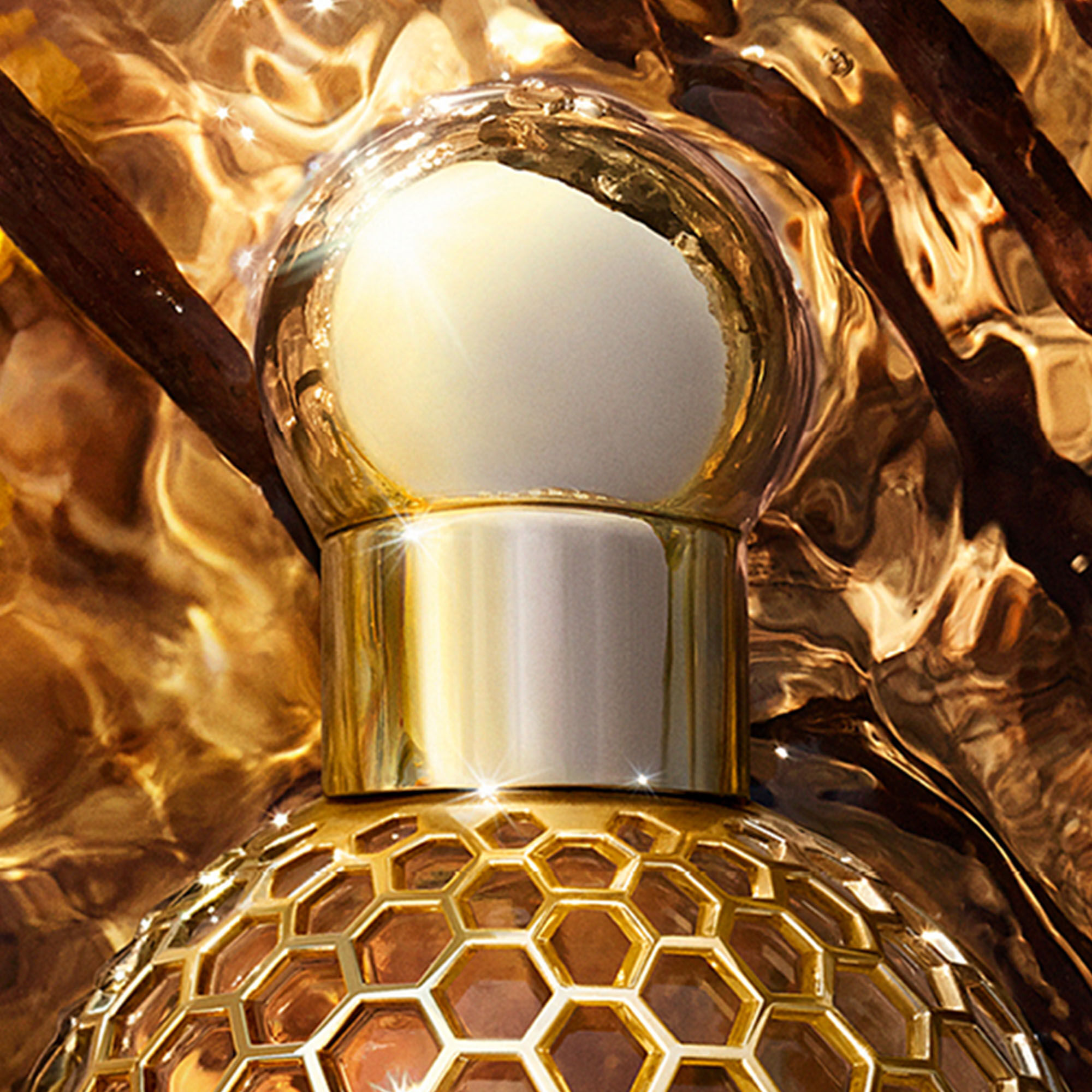 Aqua Allegoria Forte ⋅ Bosca Vanilla Forte - Eau De Parfum