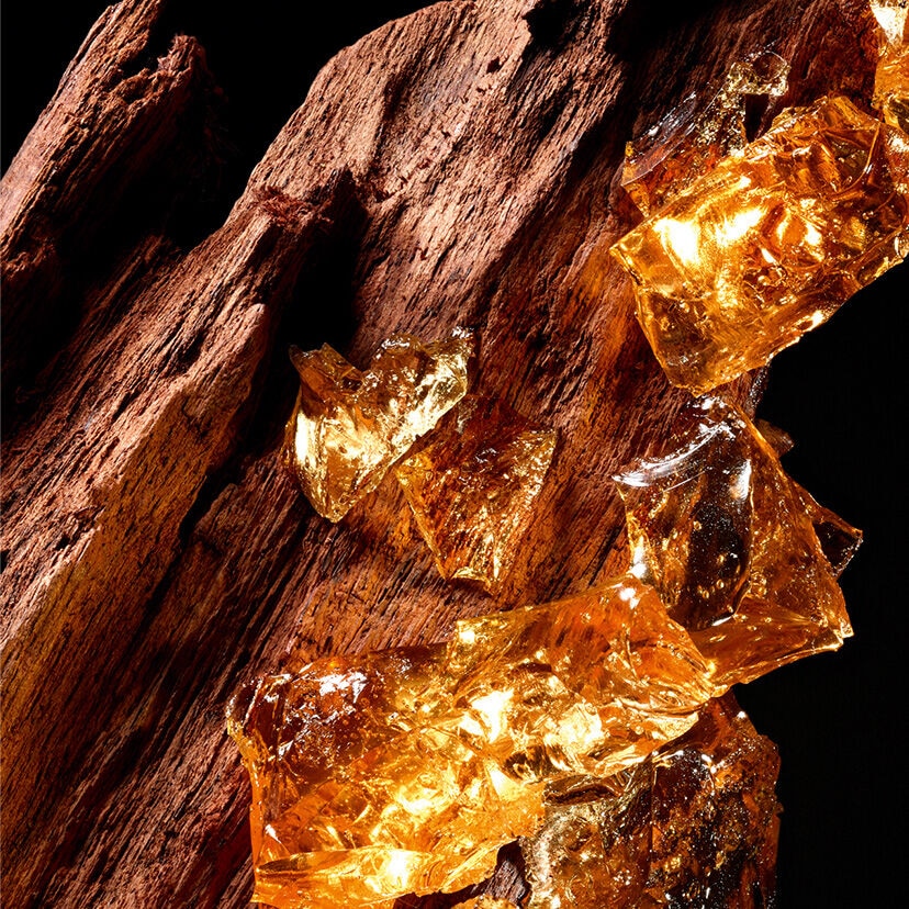 エクセプショナルピース ⋅ イマジン ゲラン - オーデパルファン