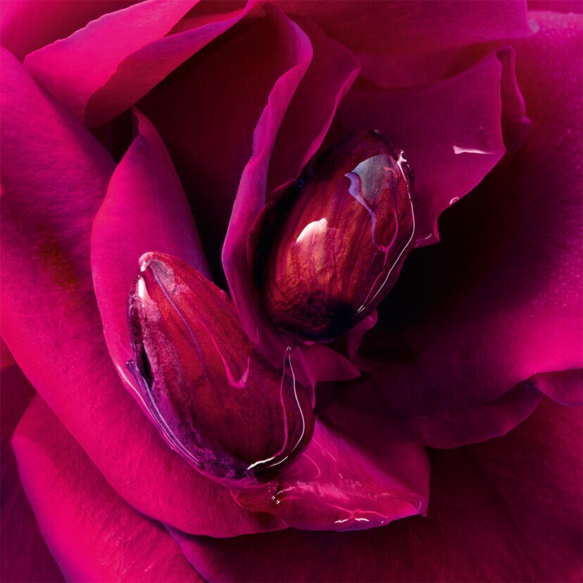 ラ プティット ローブ ノワール ⋅ パルファン | ゲラン GUERLAIN