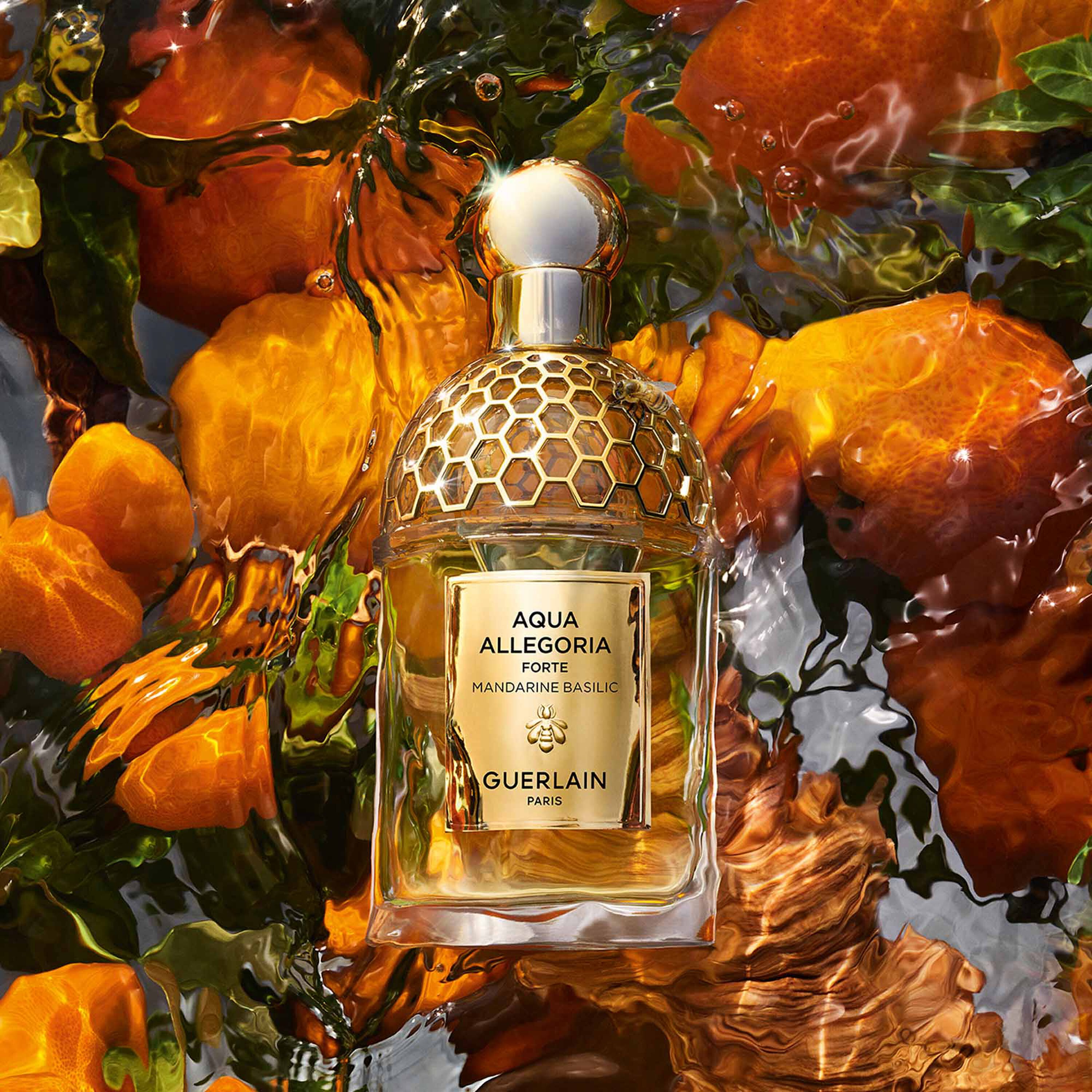 Mandarine Basilic Forte - Eau de Parfum (Voir l'image 2/4)