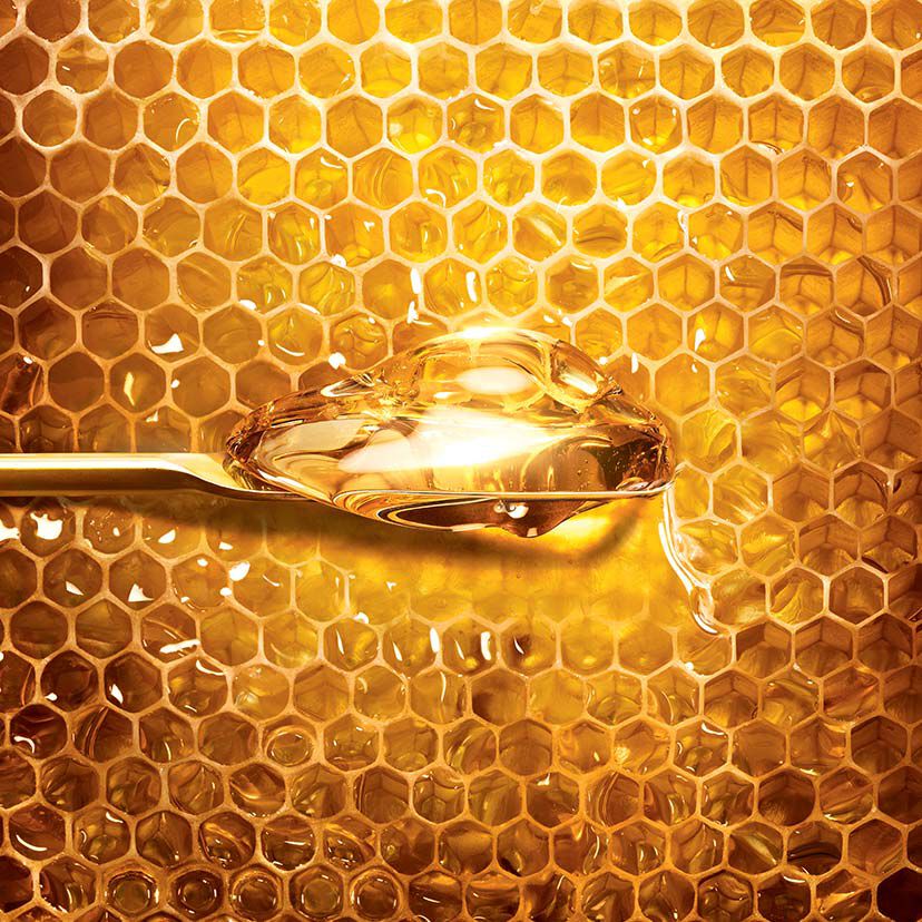 Abeille Royale ⋅ DAY CREAM ⋅ GUERLAIN