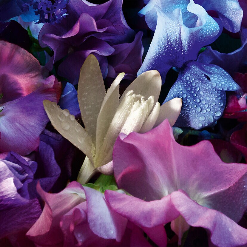 Absolus Allegoria Florabloom: Tuberose Fragrance ⋅ GUERLAIN