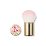 G043880_3346470438804_METEORIT