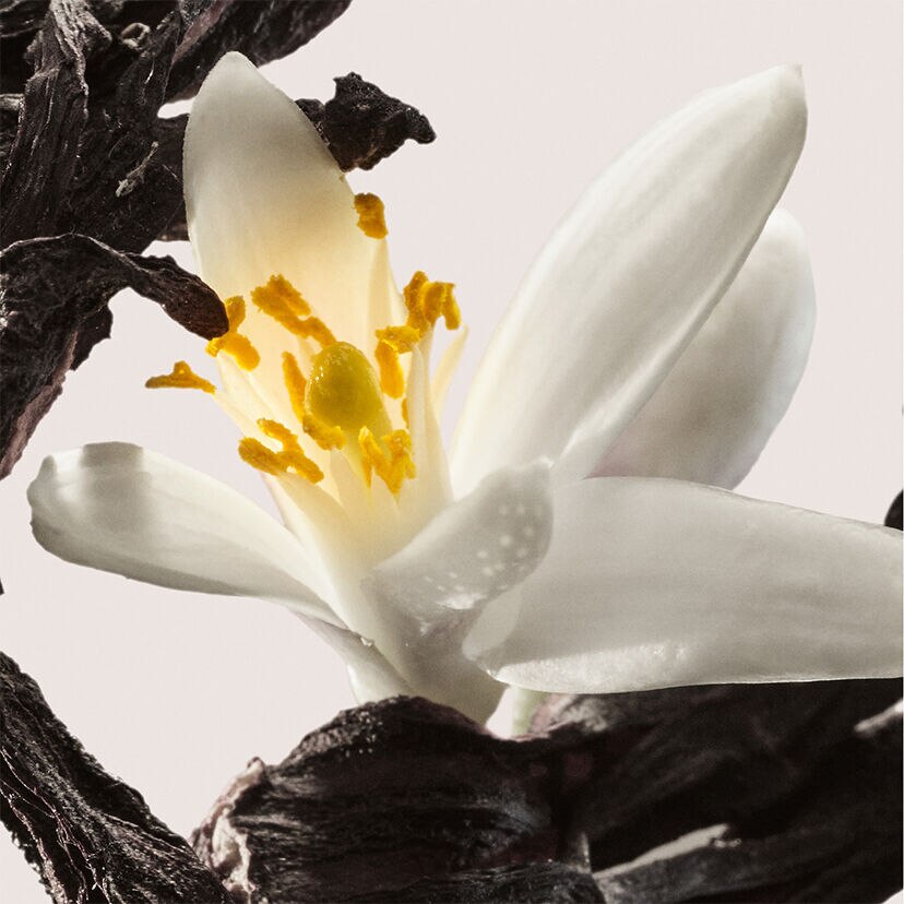 ネロリ ウートルノワ ヘアミスト：ネロリ&スモークティーのヘア