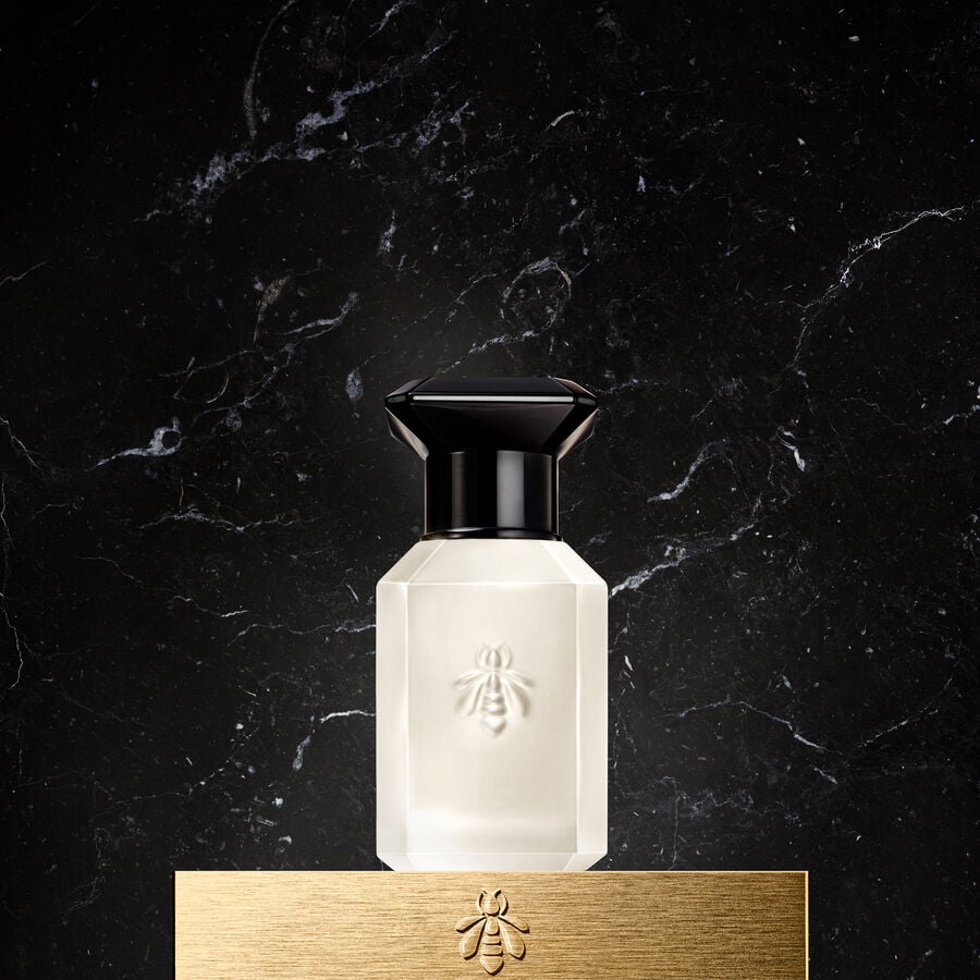 MUSC OUTREBLANC - BRUMA PARA O CABELO (Ver a imagem 2/3)