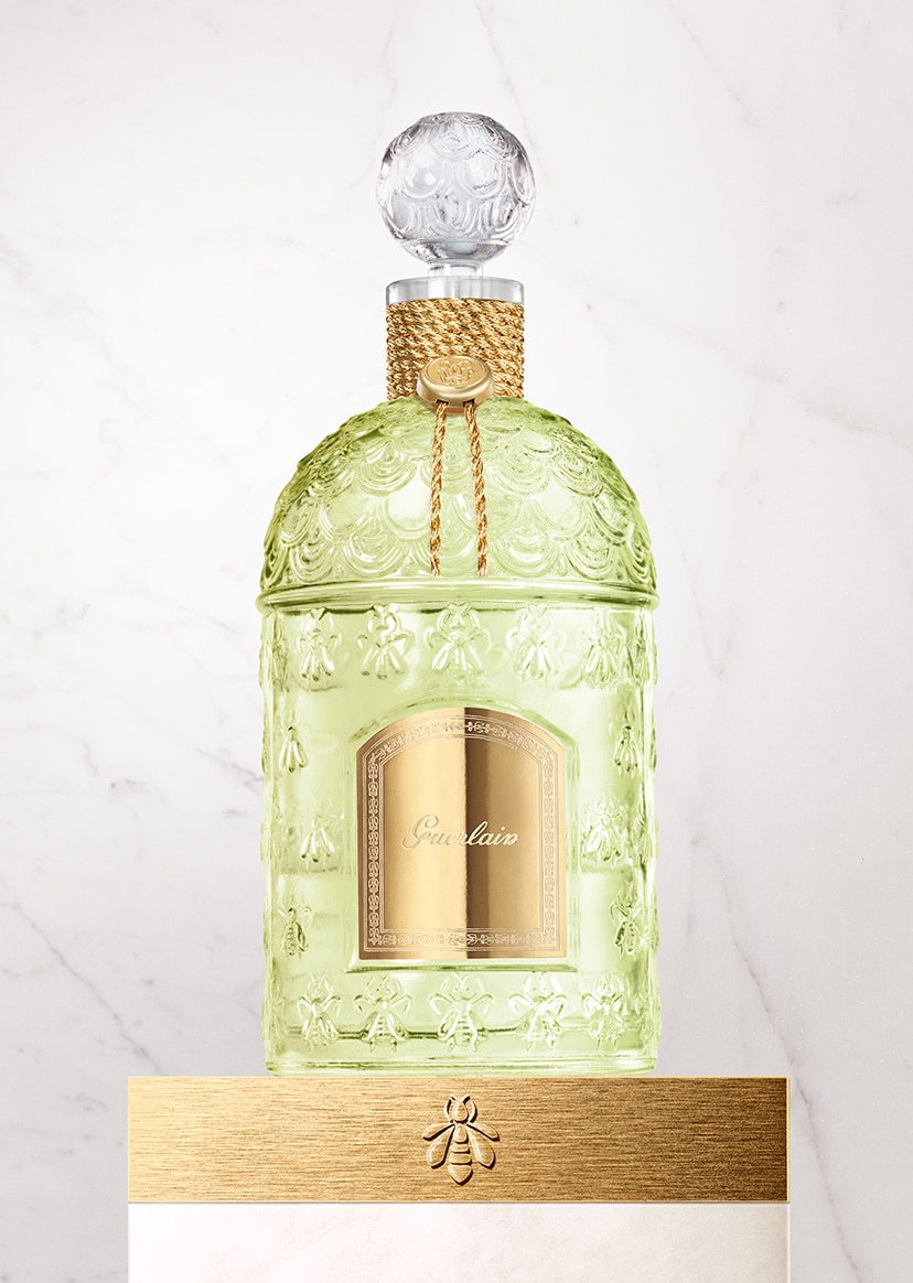 Aqua Allegoria Nerolia Vetiver - Eau de Toilette