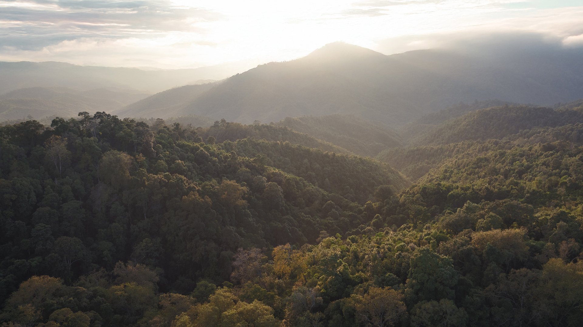 La réserve naturelle de TianZi
