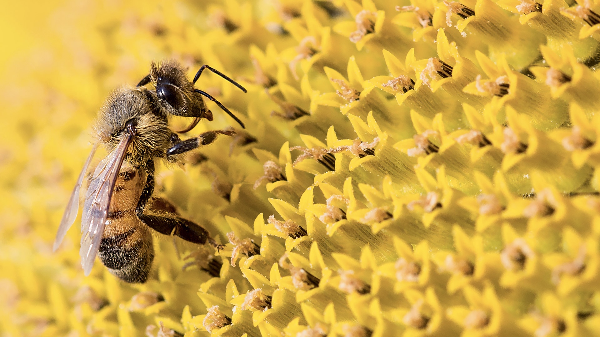 Soutien à la recherche scientifique