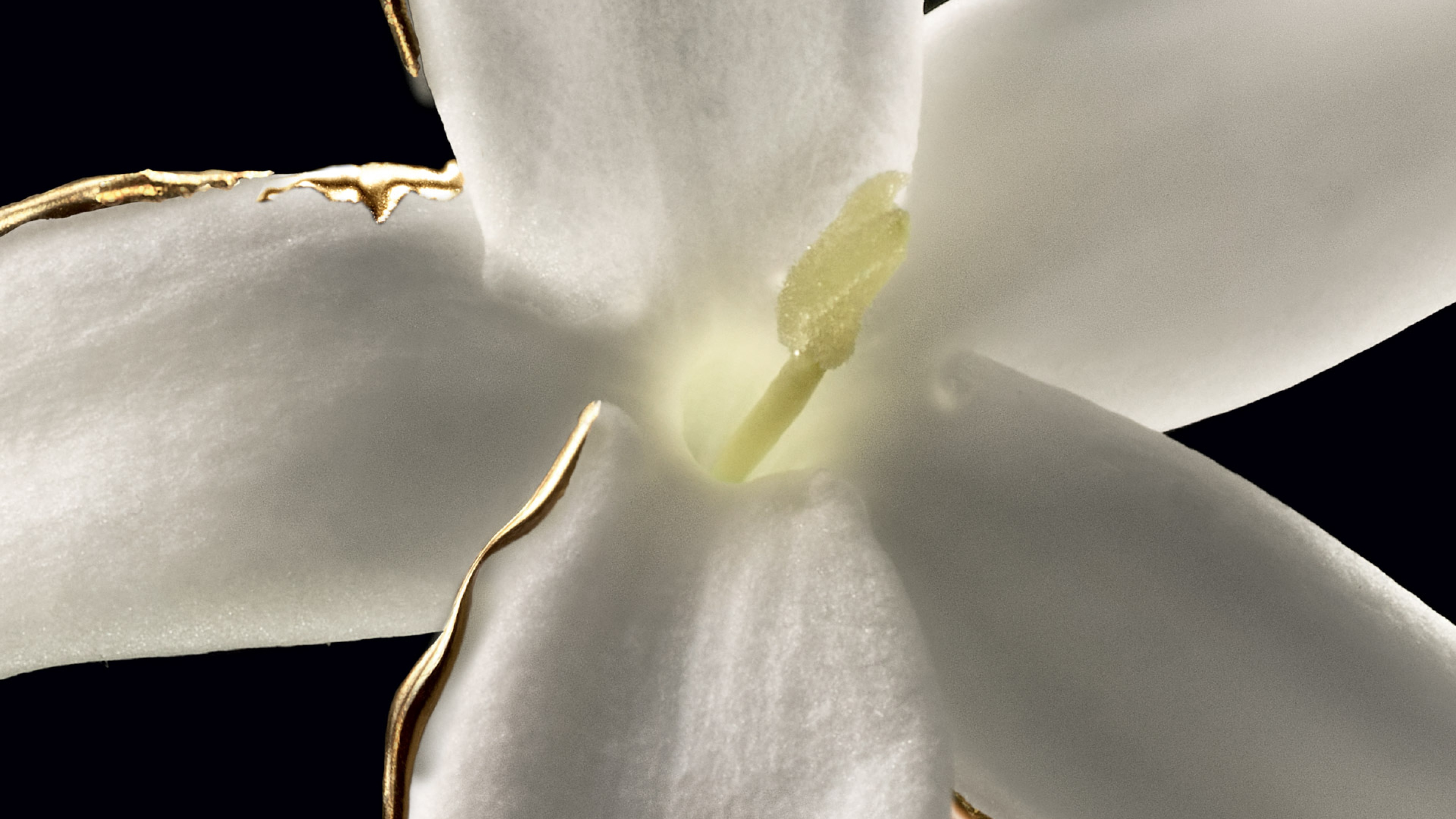 Nos filières matières premières naturelles