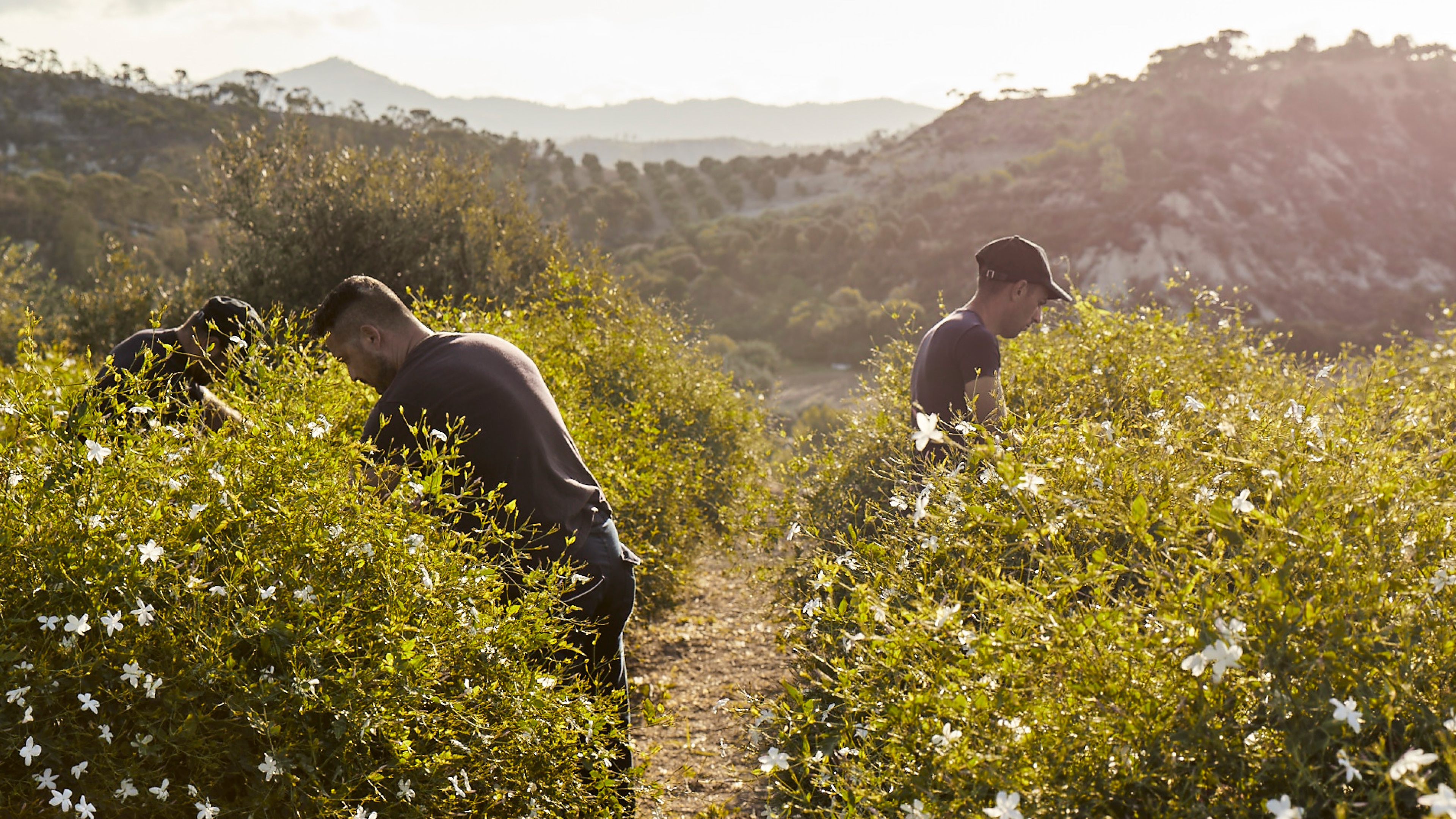 Traçabilité et transparence