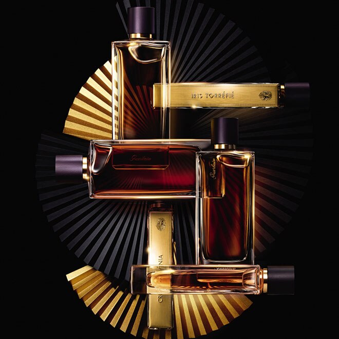 L'ART ET LA MATI&Egrave;RE -  Iris Torr&eacute;fi&eacute;