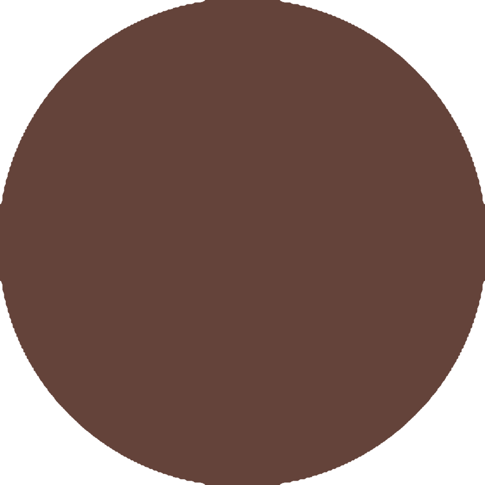 02 GLOSSY BROWN