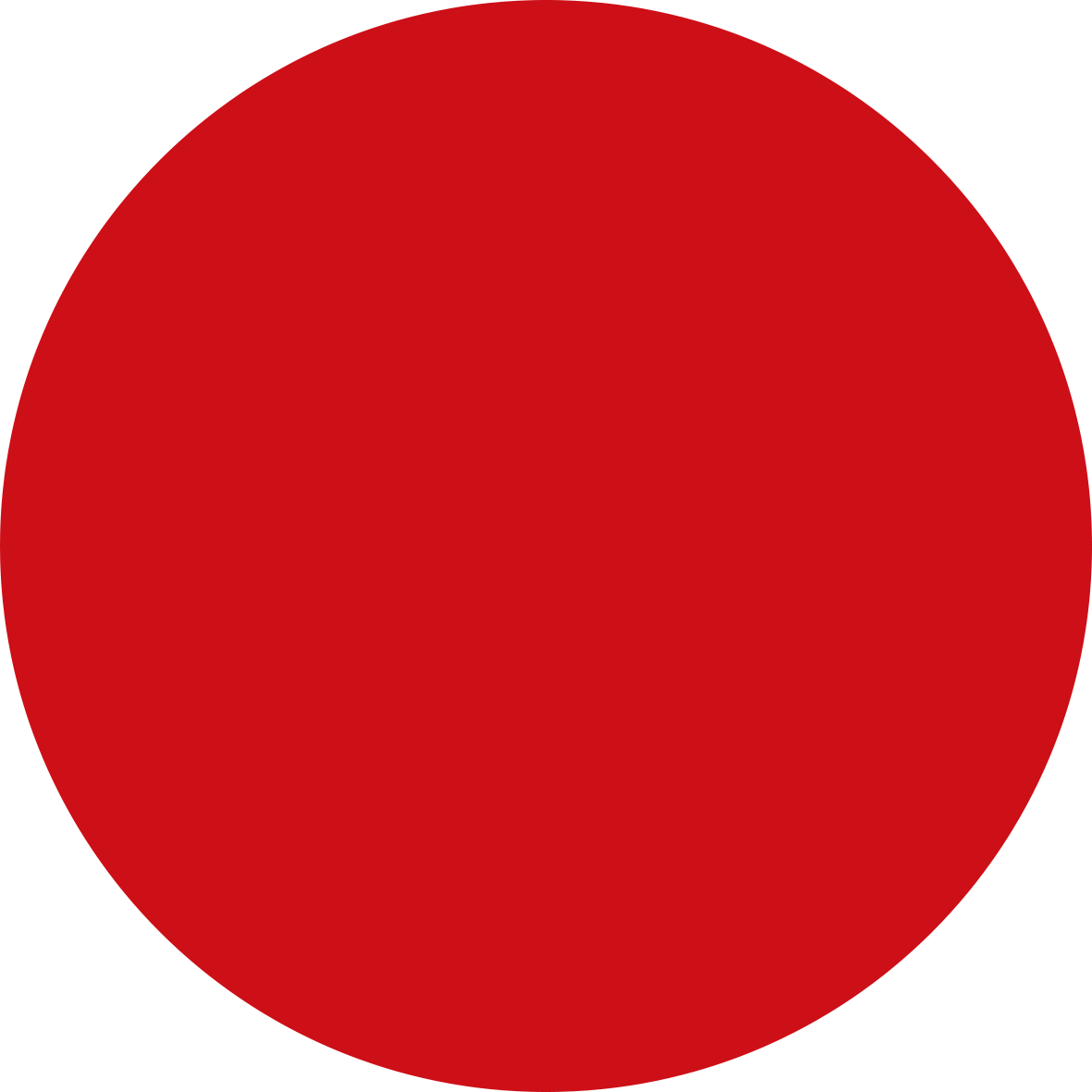 214 LE ROUGE KISS - SATIN