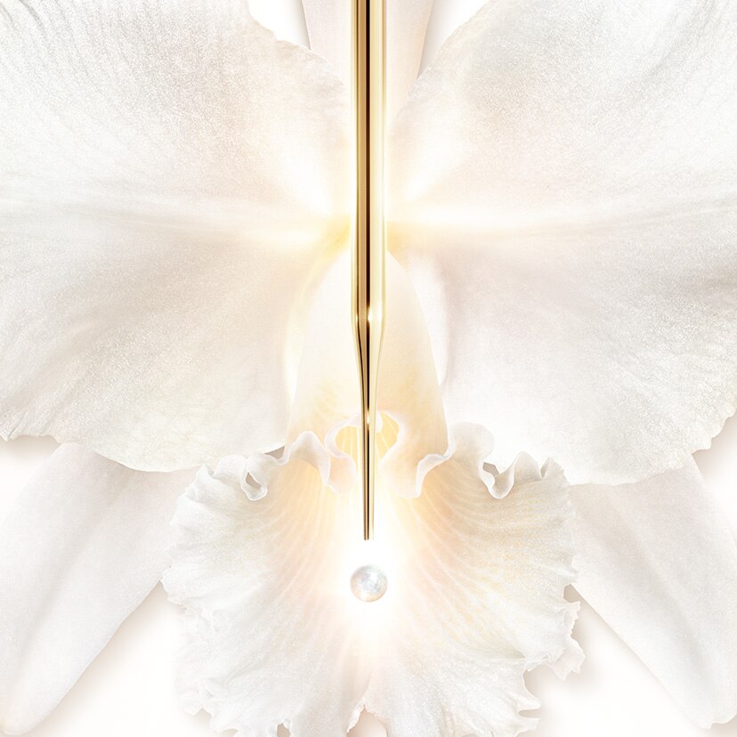 Orchidee Imperiale Brightening オーキデ アンペリアル ホワイト セロム イン Uvプロテクター Uv プロテクター Guerlain ゲラン