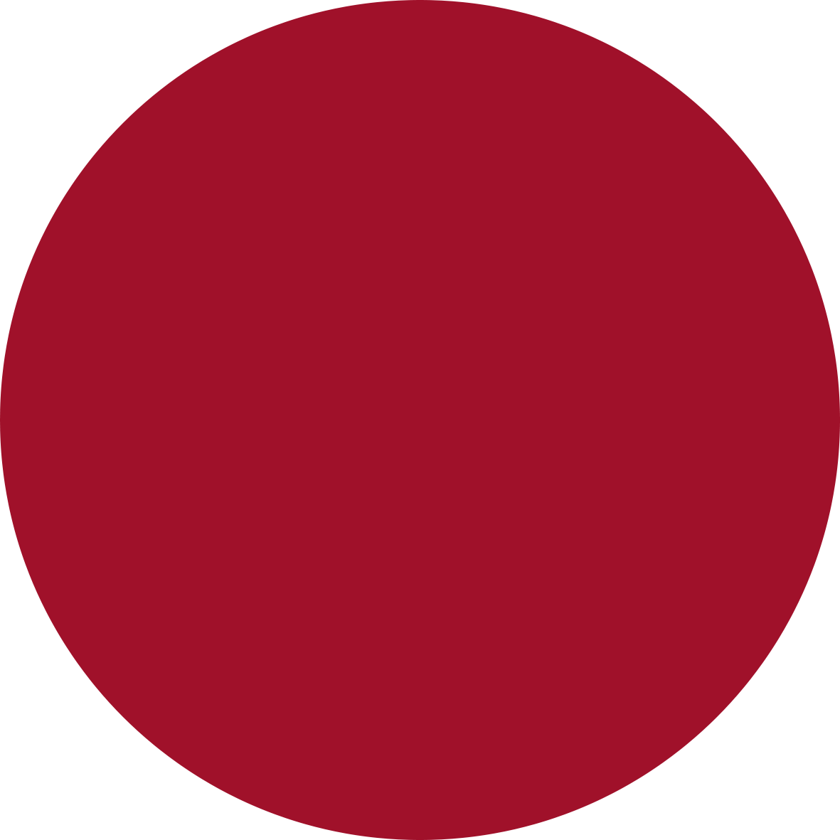 520 PURE HIBISCUS