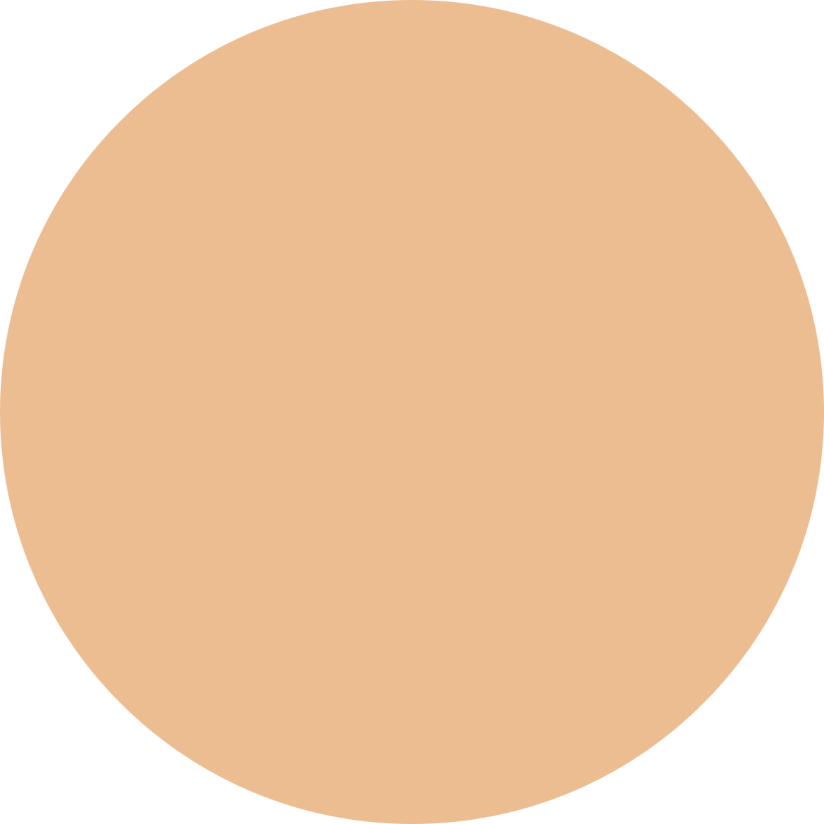 01N ペール ベージュ