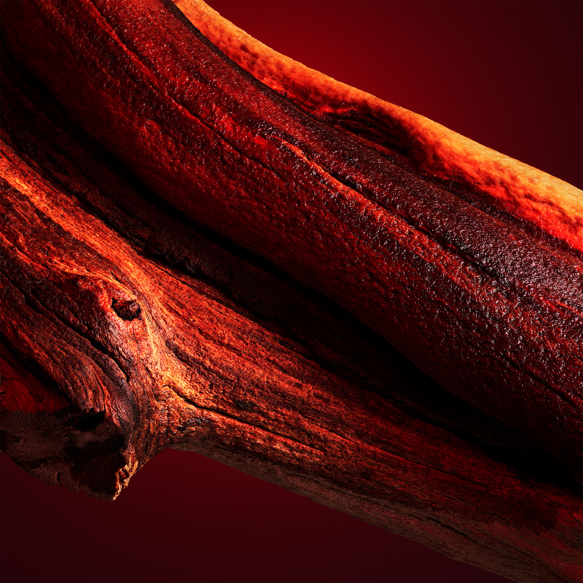 ENCENS D'HIVER - 220g